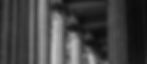 Appellate-Law---Sequor-Law.jpg