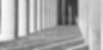 white-background.png
