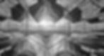 white-background.png