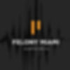 Felony Miami Justice For All Logo